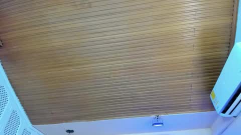 Snapshot of viiolett_lee chatting on 10/15/25, 08:53 Viiolett online show from 10/15/25, 08:53