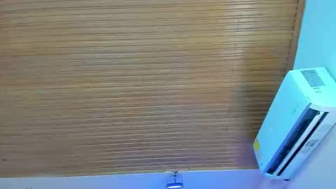 Snapshot of viiolett_lee chatting on 11/11/25, 07:58 Viiolett online show from 11/11/25, 07:58