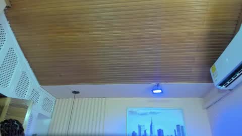 Snapshot of viiolett_lee chatting on 12/14/25, 07:29 Viiolett online show from 12/14/25, 07:29