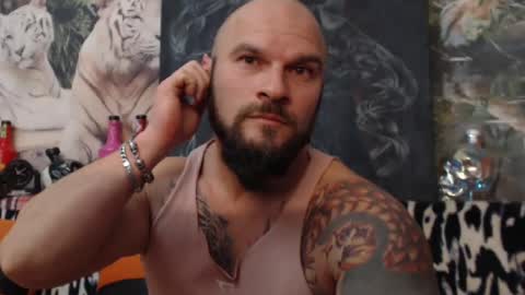 viking online show from 12/01/24, 08:09