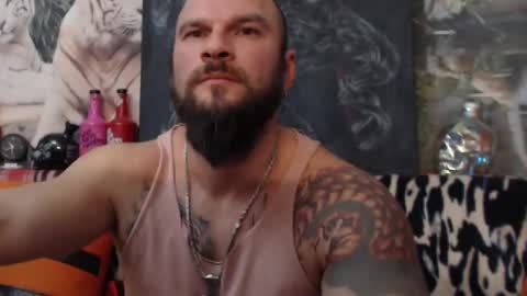 viking online show from 12/12/24, 07:59