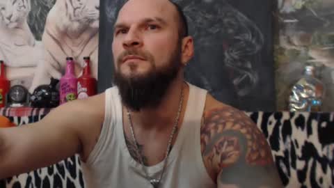viking online show from 12/24/24, 08:49