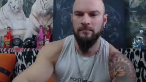 viking online show from 12/28/24, 07:11