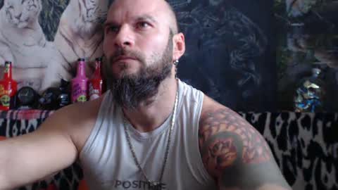 viking online show from 12/31/24, 10:04