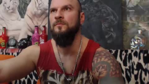 viking online show from 01/01/25, 04:18