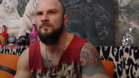 viking online show from 01/01/25, 08:04