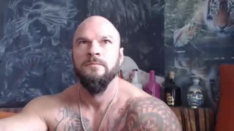 viking online show from 10/08/25, 10:13