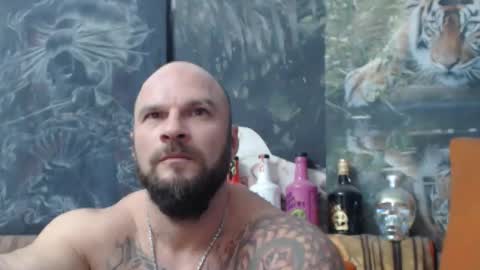 viking online show from 10/16/25, 07:04