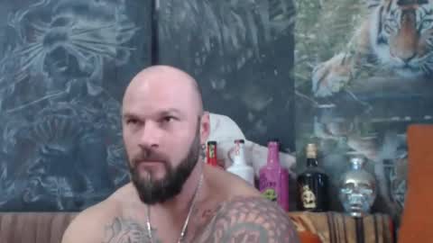 viking online show from 10/18/25, 06:26