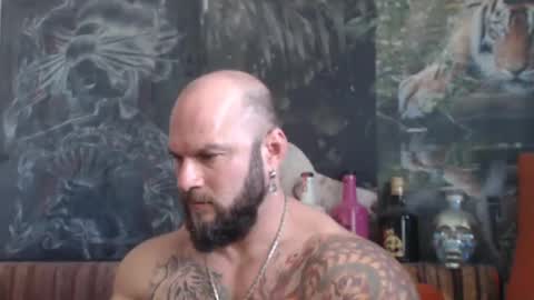 viking online show from 10/22/25, 07:19