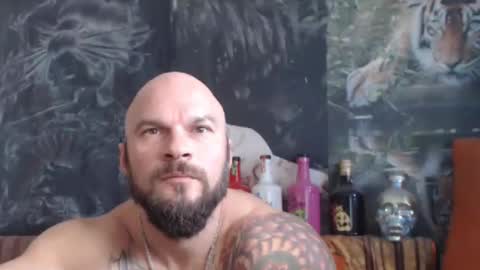 viking online show from 10/24/25, 07:38