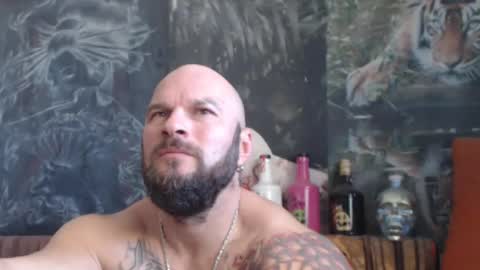 viking online show from 10/25/25, 07:49