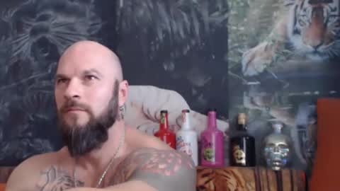 viking online show from 11/04/25, 08:02