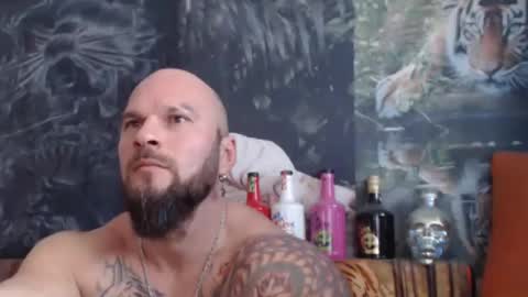 viking online show from 11/05/25, 08:14