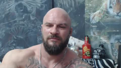 viking online show from 06/11/26, 06:06