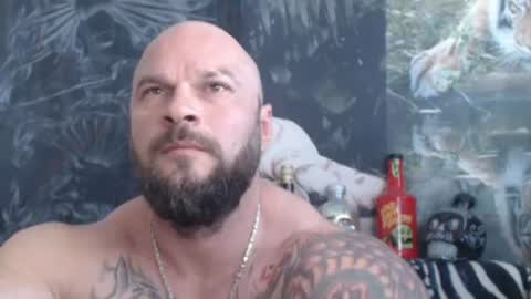 viking online show from 06/13/26, 07:39