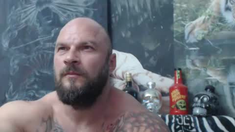viking online show from 06/16/26, 06:10