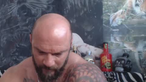 viking online show from 06/22/26, 06:32