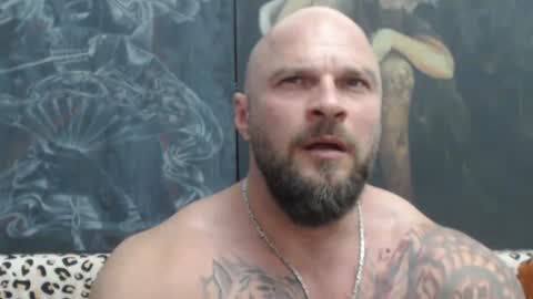viking online show from 06/25/26, 06:56
