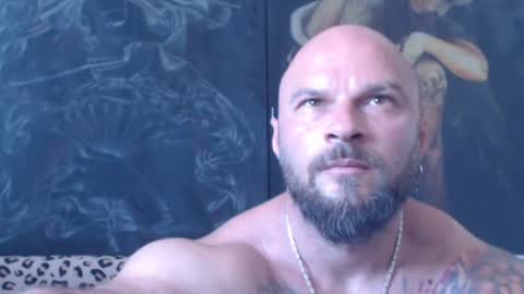 viking online show from 06/28/26, 06:41
