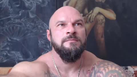 viking online show from 07/24/26, 11:41