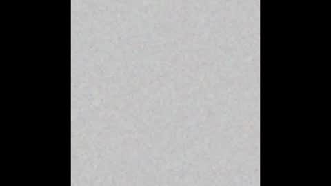 VIOLETA AND MAXX online show from 11/03/25, 08:43