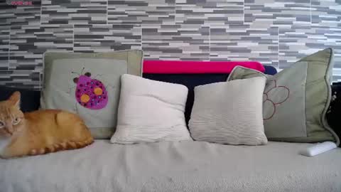 Violeta Gmez online show from 07/07/26, 04:11