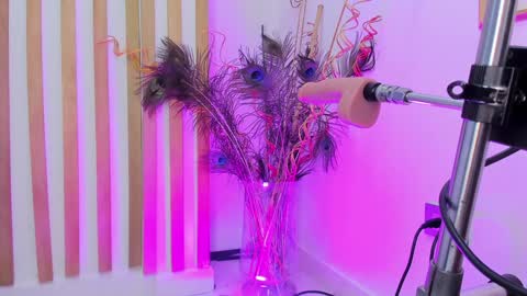 Violeth Hill online show from 12/27/24, 12:23
