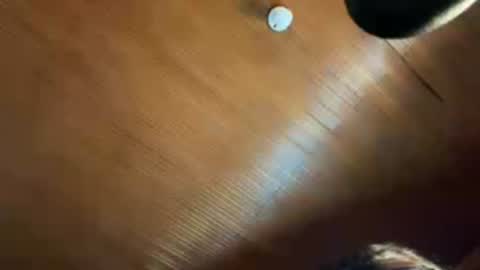 violetskinny online show from 08/07/26, 08:55