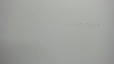 violett_24_ online show from 03/01/25, 11:39