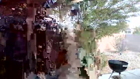 Omoje Ultra Mega online show from 04/26/26, 10:51