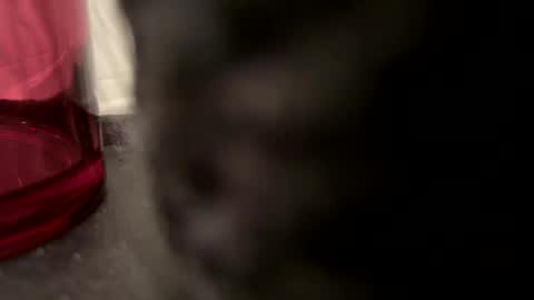 Snapshot of vm93m chatting on 12/22/24, 05:21 John online show from 12/22/24, 05:21