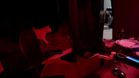 Rev online show from 05/13/26, 05:27