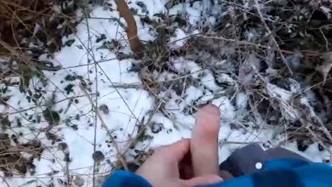 Snapshot of voyeuristicmcfly2 chatting on 02/19/25, 04:22 mcfly online show from 02/19/25, 04:22