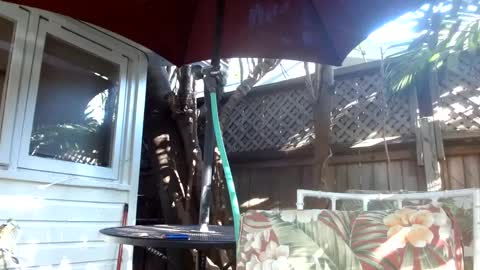 Snapshot of vtcd chatting on 02/06/25, 09:28 vtcd online show from 02/06/25, 09:28