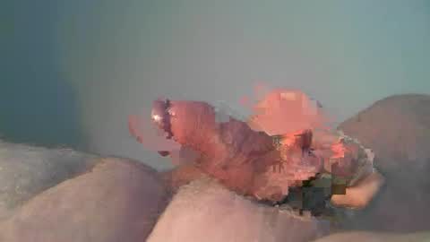 Snapshot of vukavuka99 chatting on 10/26/25, 09:53 vukavuka99 online show from 10/26/25, 09:53