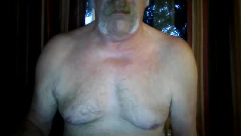 wahassa online show from 07/28/26, 08:52