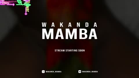 Snapshot of wakanda_mamba chatting on 11/17/25, 03:40 Wakanda Mamba online show from 11/17/25, 03:40