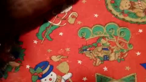 ghhhgh online show from 12/11/24, 09:52