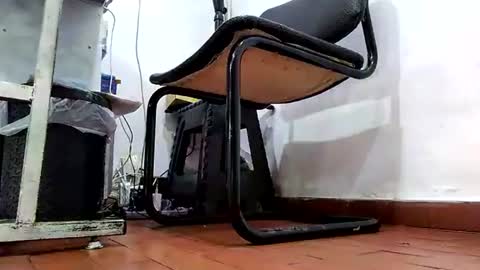 WaltherFeet  online show from 07/03/26, 02:12
