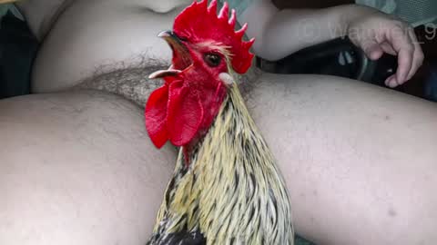 classified online show from 12/24/24, 11:33