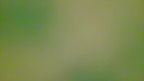 Snapshot of watchplaycum chatting on 10/08/25, 11:24 watchplaycum online show from 10/08/25, 11:24