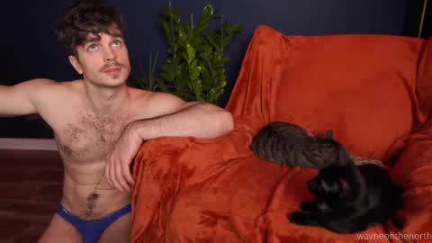 waynenorth online show from 11/22/25, 04:39