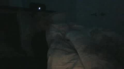 Snapshot of weatheredvoid chatting on 01/31/25, 03:55 WeatheredVoid online show from 01/31/25, 03:55