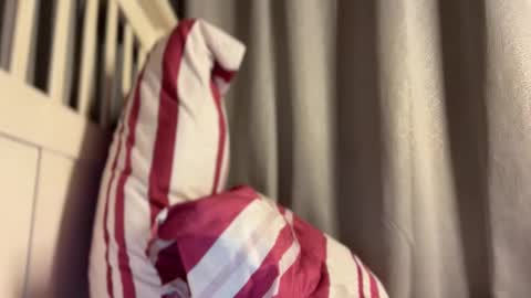 Maggie online show from 10/13/25, 04:07