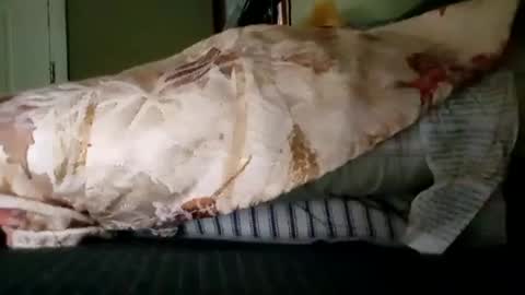 welldny online show from 10/19/25, 06:08