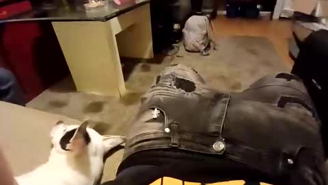 Snapshot of weloveeachothersrizz chatting on 12/05/25, 10:02 weloveeachothersrizz online show from 12/05/25, 10:02