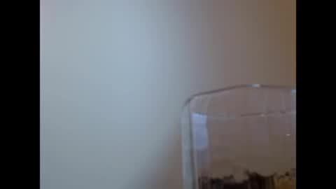 Snapshot of wenndy_ardent chatting on 05/29/26, 02:04 TaTis online show from 05/29/26, 02:04