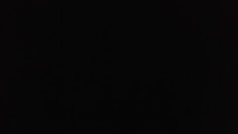 wet_pussy2025 online show from 11/13/25, 06:18