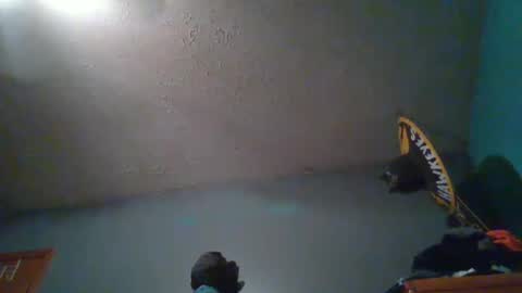 wetduck77777 online show from 10/05/25, 08:01